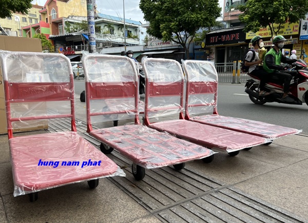 xe day hang phong thanh 500kg